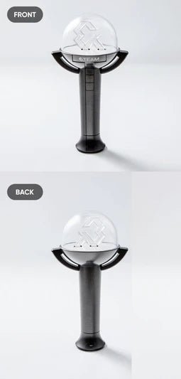 &TEAM - OFFICIAL LIGHT STICK